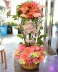 お祝いアレンジ　ピンク可愛く|「花のこいずみ」　（北海道枝幸郡浜頓別町の花屋）のブログ