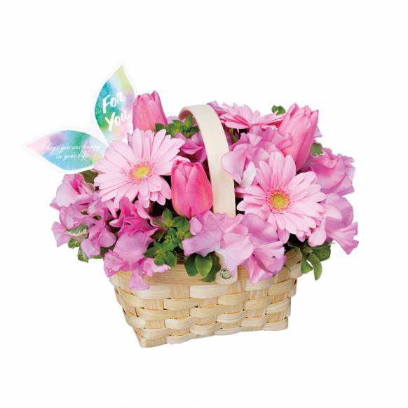 花キューピット加盟店 店舗名：花のこいずみ
フラワーギフト商品番号：511551
商品名：アレンジメント